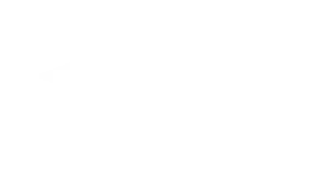 Real Estate Academy Logo White